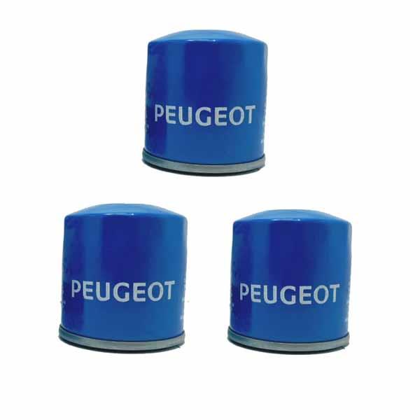 فیلتر روغن هنگ مدل HFO04 مناسب برای پژو 405 بسته 3 عددی